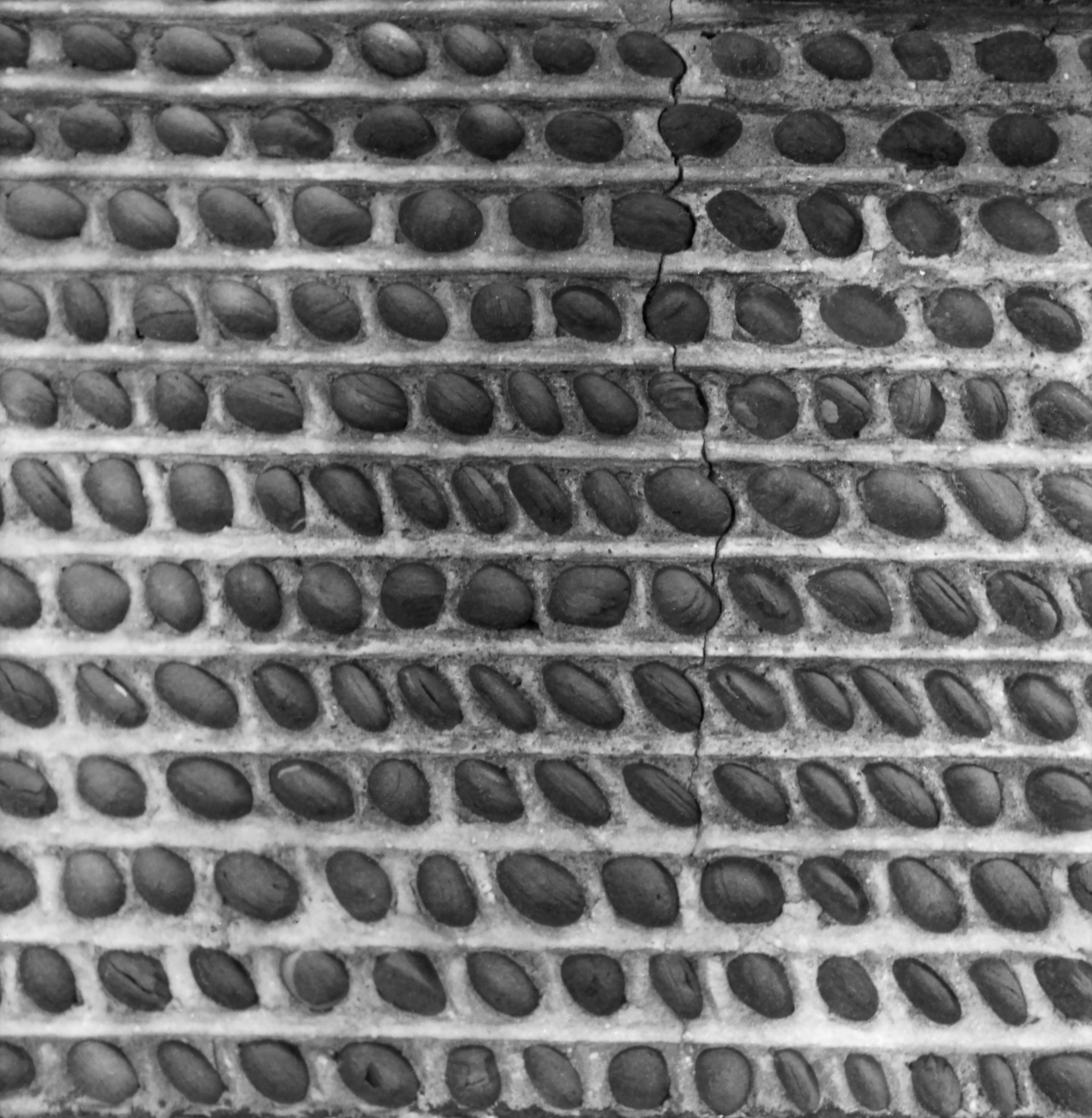 GP Ontario Phelps Phe-15 2-2 P